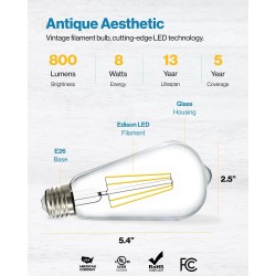Foco Tipo Pera Vintage Luz Cálida 8W