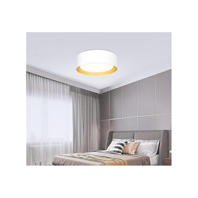 Lámpara de cielo plato blanca