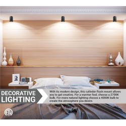 Lámpara de cielo tipo cilindro